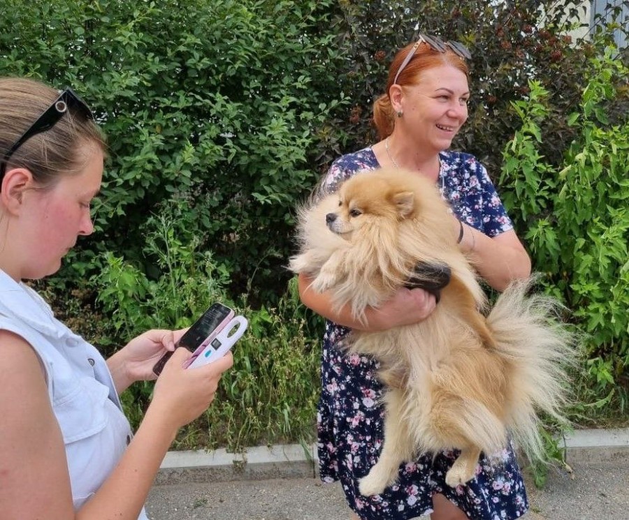 Арсеньевцы активно чипируют домашних питомцев Арсеньевцы активно чипируют домашних питомцев