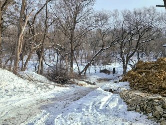В Арсеньеве стартовали работы по благоустройству левого берега реки Дачной