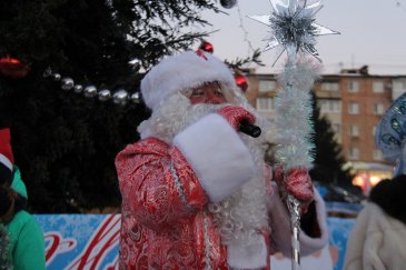 В Арсеньеве состоялось открытие главной новогодней елки 5