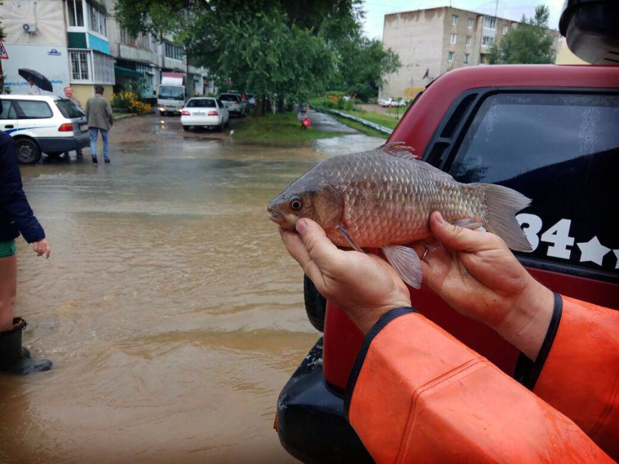 Арсеньевцы ловят рыбу на дорогах города
