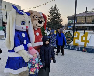 25 декабря, в Арсеньеве открылась городская ёлка 3
