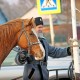 Крестный Ход Арсеньев (4 ноября 2017)