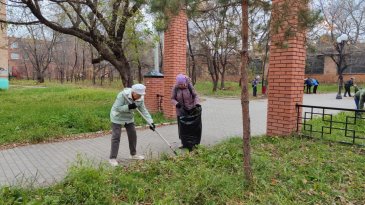 Городской субботник прошел в Арсеньеве 0