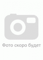 lubov