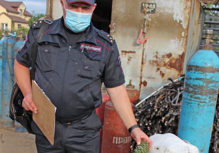 Полиция города Арсеньева: О необходимости соблюдении законодательства при заготовке кедрового ореха
