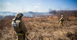 На территории Приморского края введен особый противопожарный режим