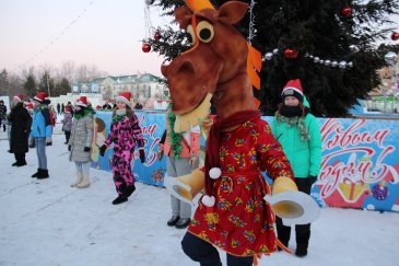В Арсеньеве состоялось открытие главной новогодней елки 3