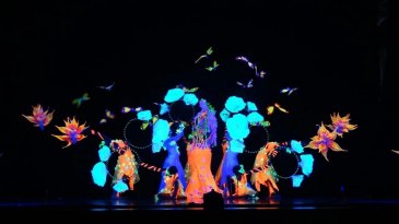 В Арсеньеве состоялся отчетный концерт «Триумфа» на сцене Дворца культуры «Прогресс» 5