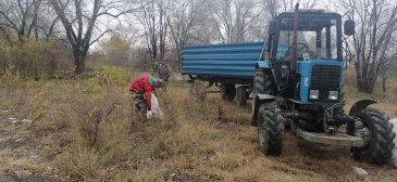 Городской субботник прошел в Арсеньеве 1