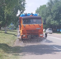 Арсеньев. Уход за городом. 2