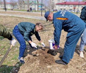 Арсеньев присоединился к Всероссийской патриотической акции «Сад памяти»