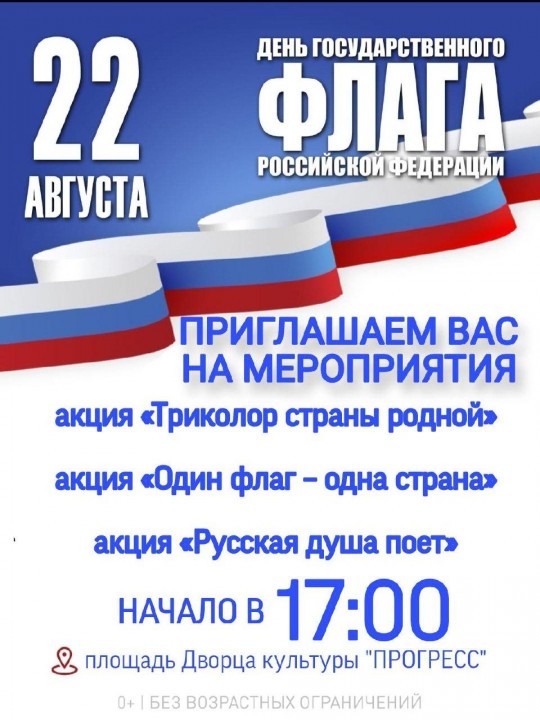 Акции в городе Арсеньев ко Дню Государственного флага РФ