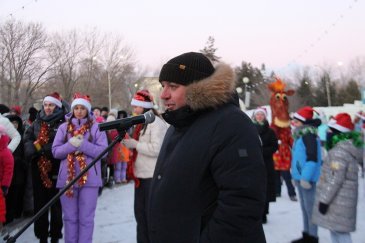 В Арсеньеве состоялось открытие главной новогодней елки 0