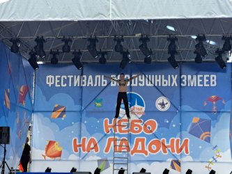 В Арсеньеве состоялся второй фестиваль воздушных змеев «Небо на ладони» 22