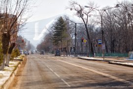 ​С 7 декабря в Арсеньевском городском округе начинает работу новый муниципальный маршрут