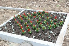 Цветы и декоративный кустарник украсили сквер возле памятника Герою России Олегу Пешкову 2