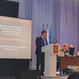 Выездное заседание комитета по социальной политике и защите прав граждан в Арсеньеве 3