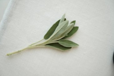 Открываем Sage: новый взгляд на ресторанный интерьер в Москве