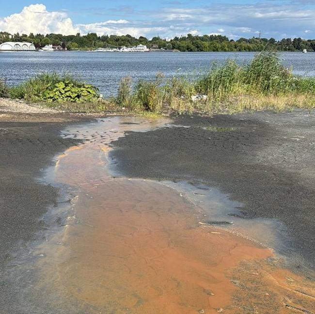 Клязьминское водохранилище под угрозой: результаты анализа воды пугают экологов и жителей района