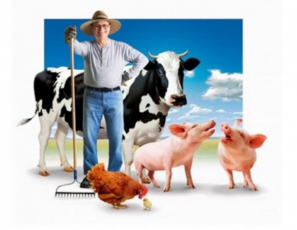 конкурсный отбор начинающих крестьянских хозяйств и семейных животноводческих ферм
