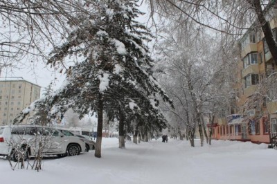 В Арсеньеве составлены протоколы об административных нарушениях за неубранный снег