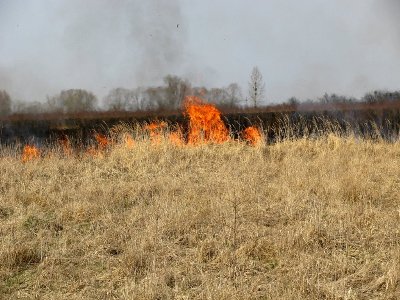 В Арсеньевском городском округе введен особый противопожарный режим