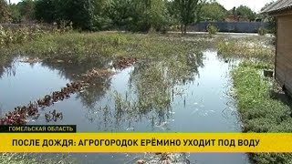 Ливень затопил деревню Ерёмино Гомельской области